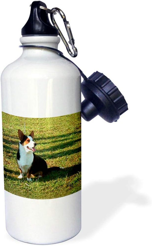 3dRose "Welsh Cardigan Corgi" Sports Water Bottle, 21 oz, White