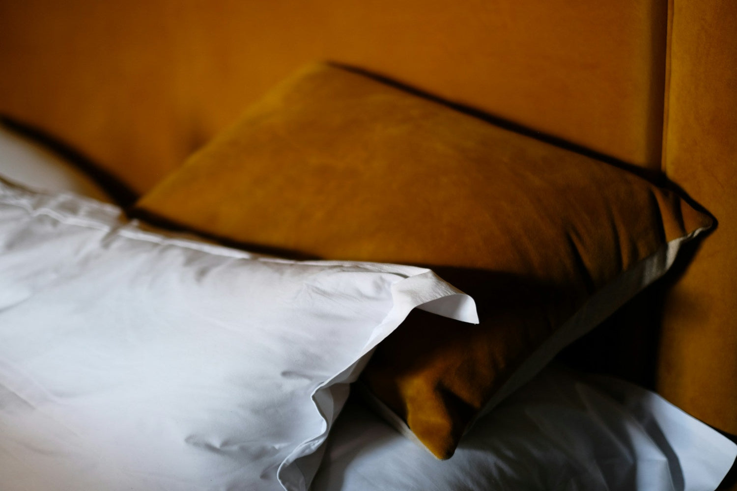 Throw Pillows & Cushion Covers