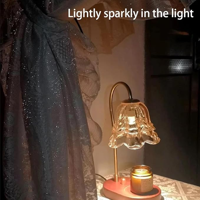 Elegant Lace Princess 4 Corner Post Mosquito Net Romantic for Girls Women Bed Curtain Canopy for Adult Wedding Bedroom Kids Rooms Decoration (Coffee, Queen)